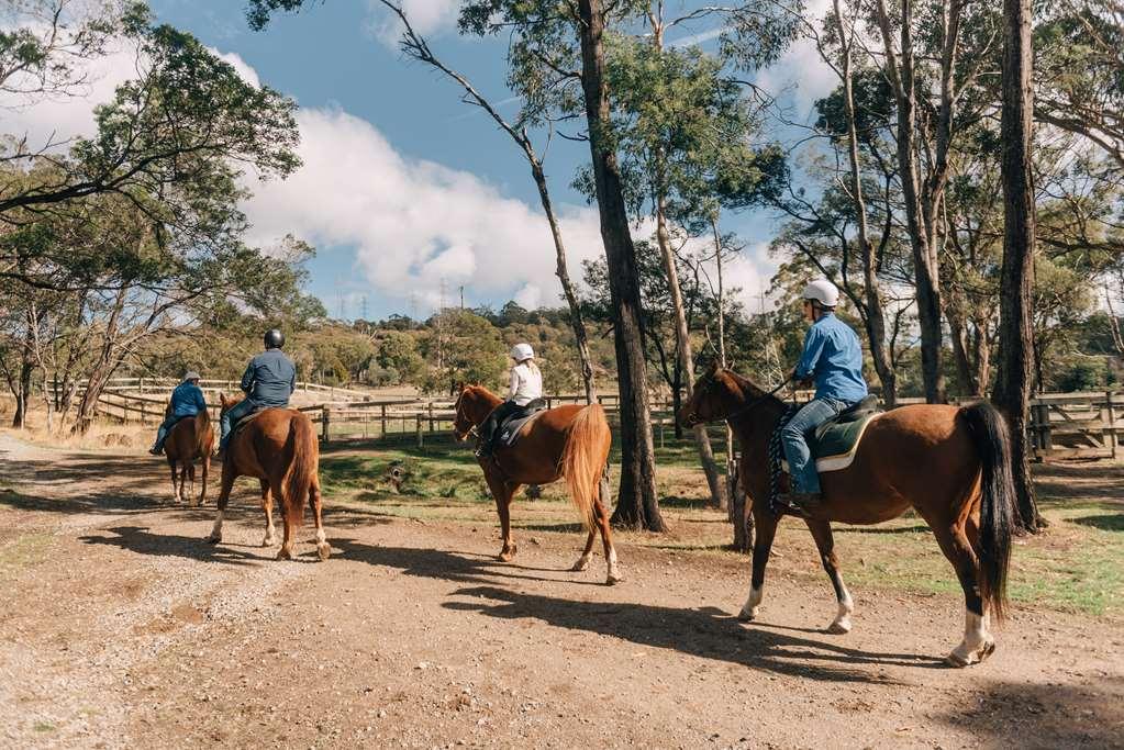 Country Club Tasmania Hotel Лонсестън Екстериор снимка